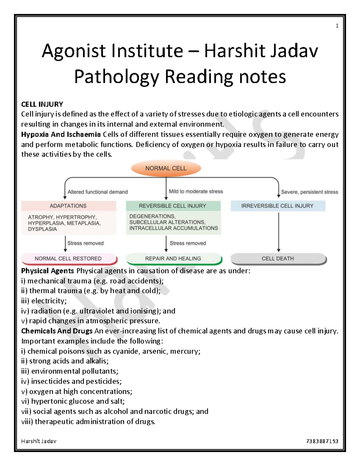 Cell Injury and Inflammation - Pathology Reading Notes (PATH 101) - Studocu