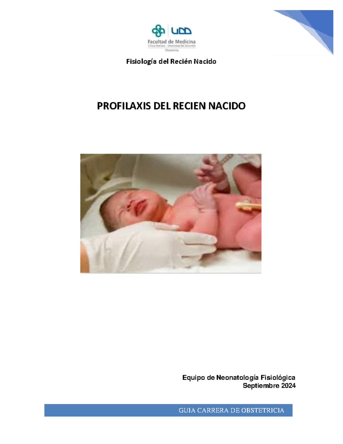 Guía de Profilaxis Neonatal: Procedimientos Clave para RN - Document Preview