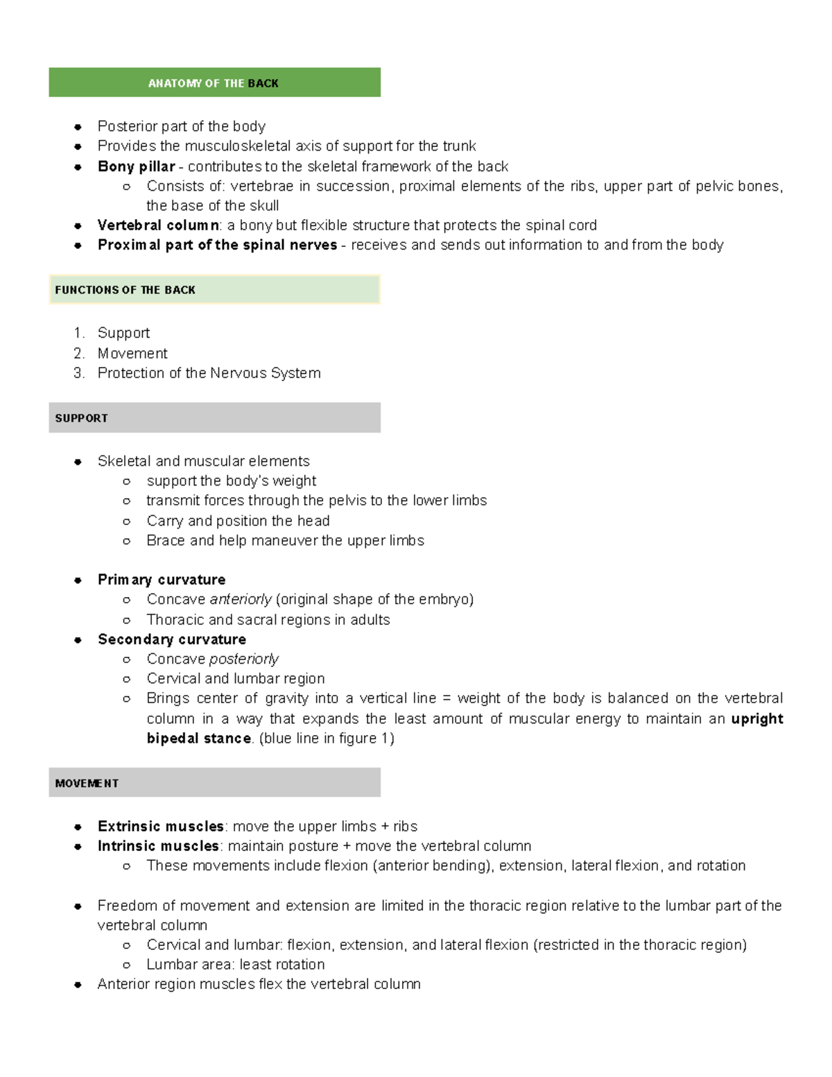 Anatomy of the Back: Comprehensive Notes for 1st Year Students - Studocu