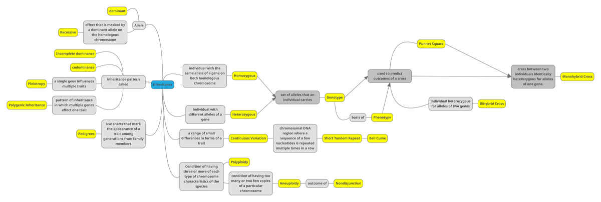 Module 7 Concept Map: Dominant & Recessive Alleles, Inheritance ...