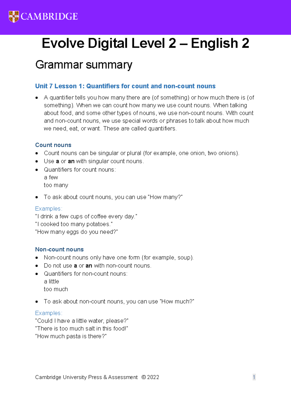 Unit 7 E2 Grammar Summary: Quantifiers for Count & Non-Count Nouns ...