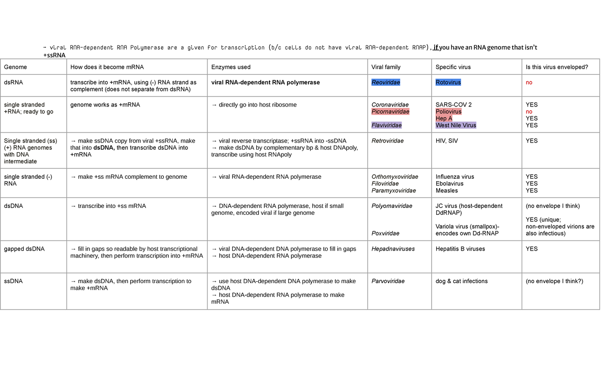 Virology Genome Tables - 2021 Winter Study Notes - Studocu