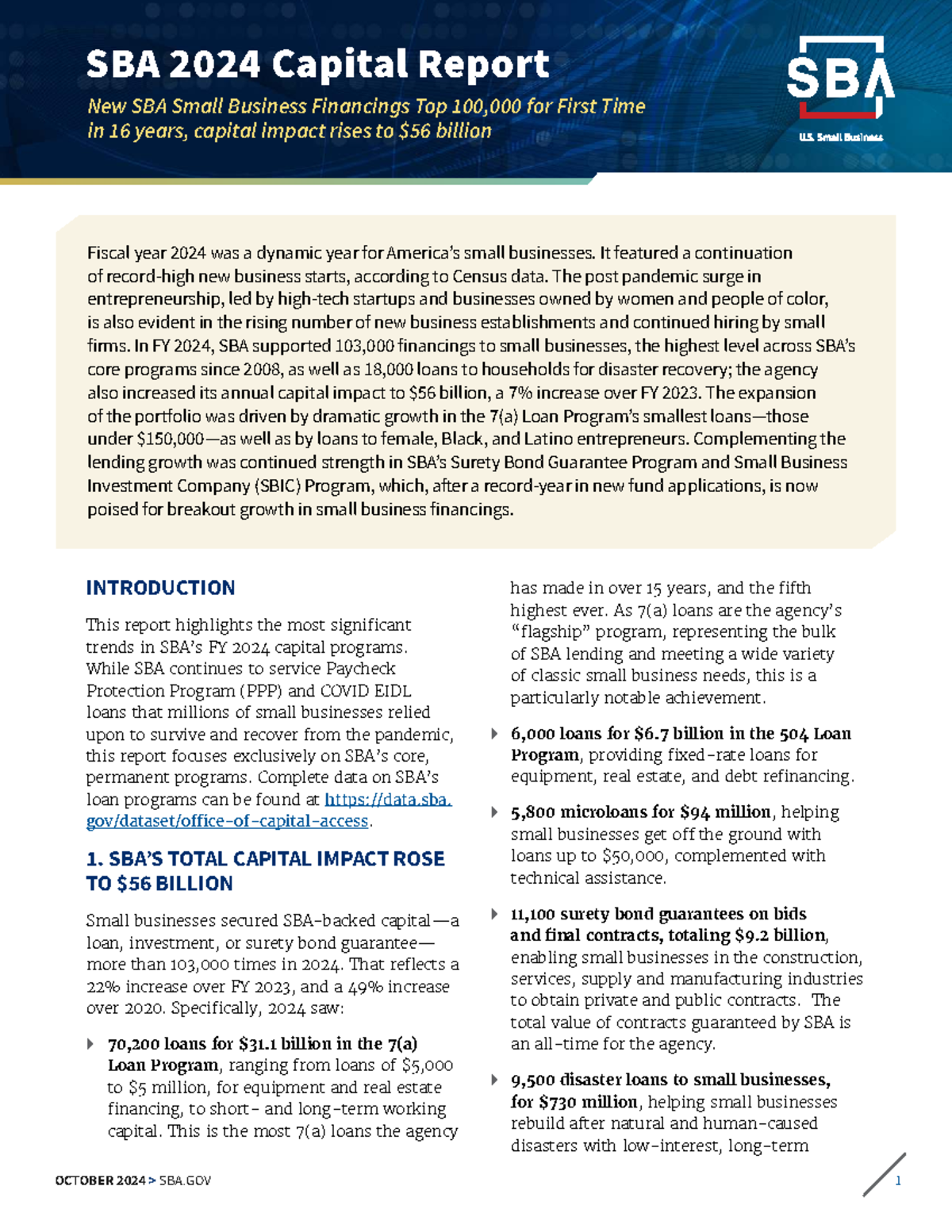 SBA 2024 Capital Impact Report: Trends in Small Business Financing ...