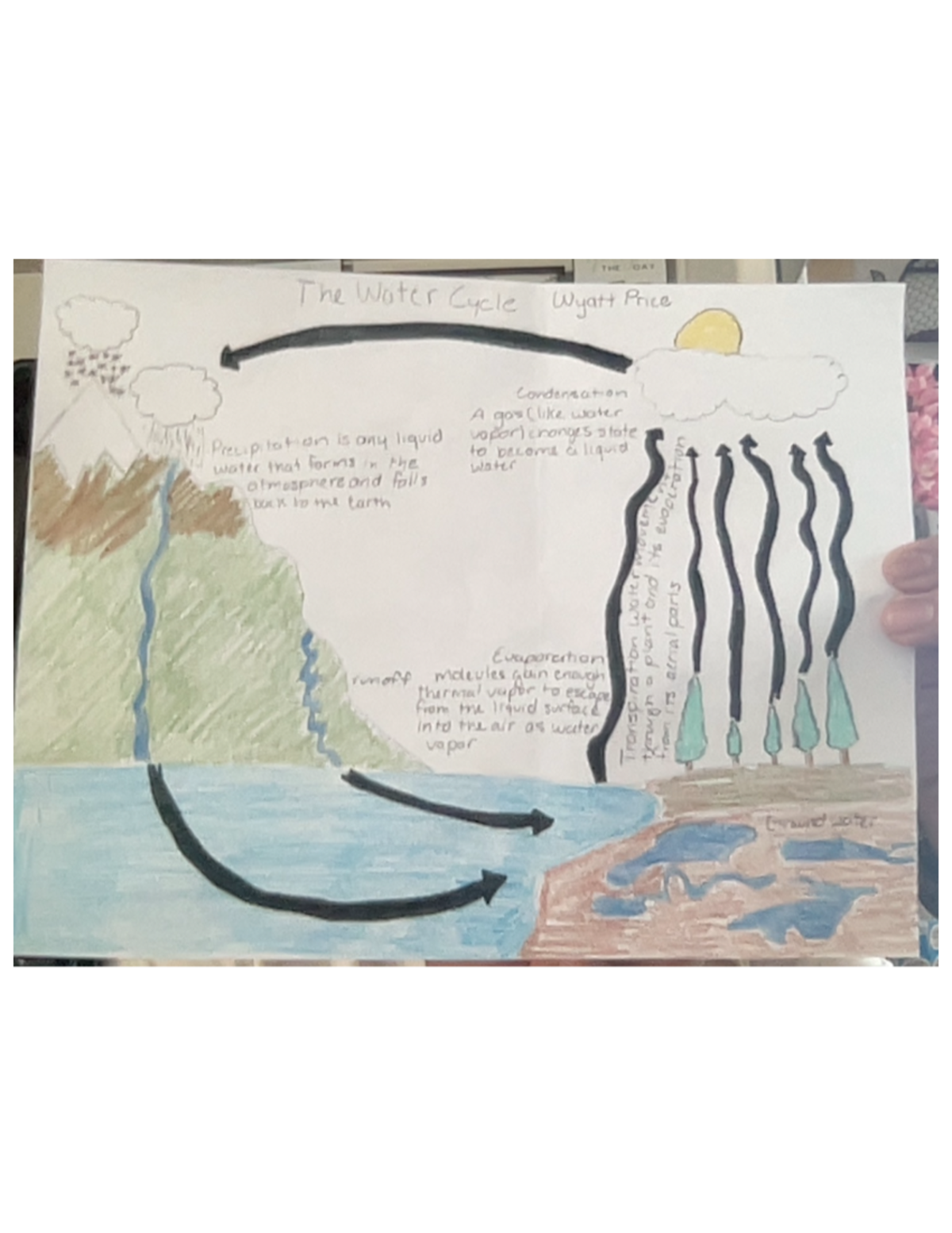 OAT 2024: Understanding the Water Cycle and its Processes - Studocu