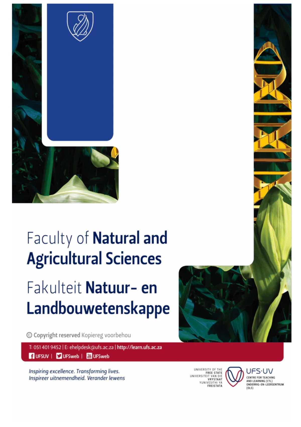 Caps Lo Senior Phase Caps Document Curriculum And Assessment Z