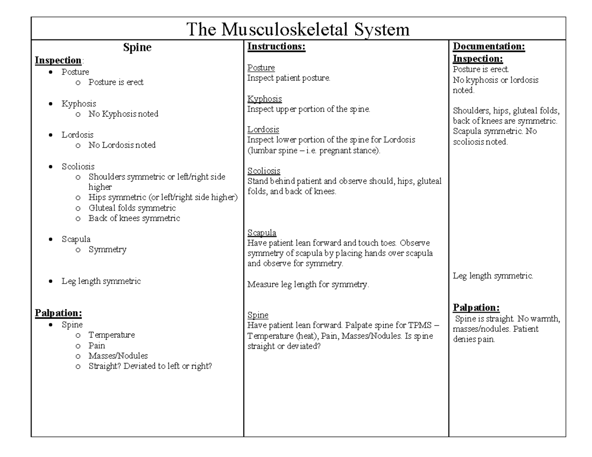 Musculoskeletal Assessment - The Musculoskeletal System Spine ...