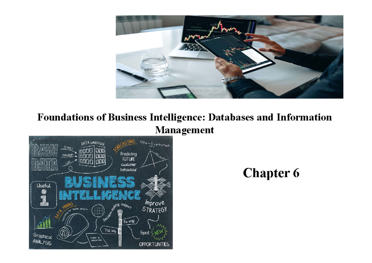 Foundations of Business Intelligence: Databases & Info Management (Ch 6 ...