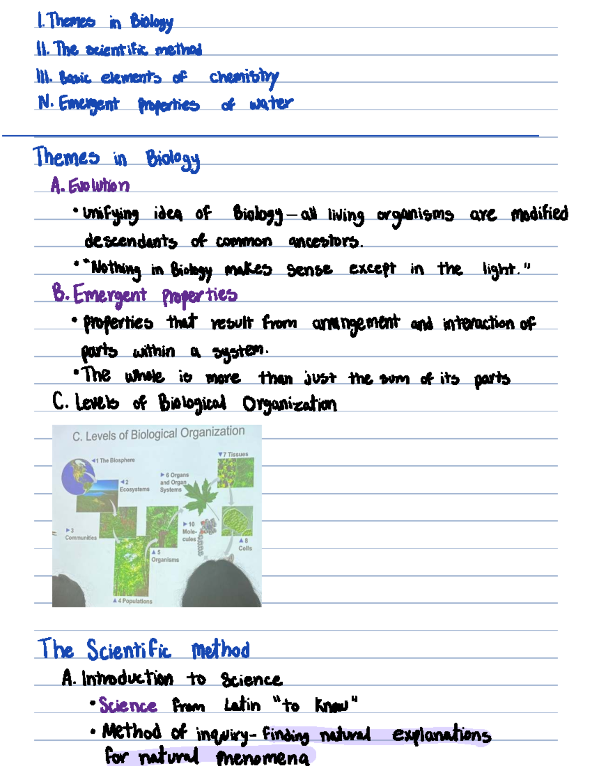 Biology 11 Lecture 2 Notes: Themes, Scientific Method & Water ...