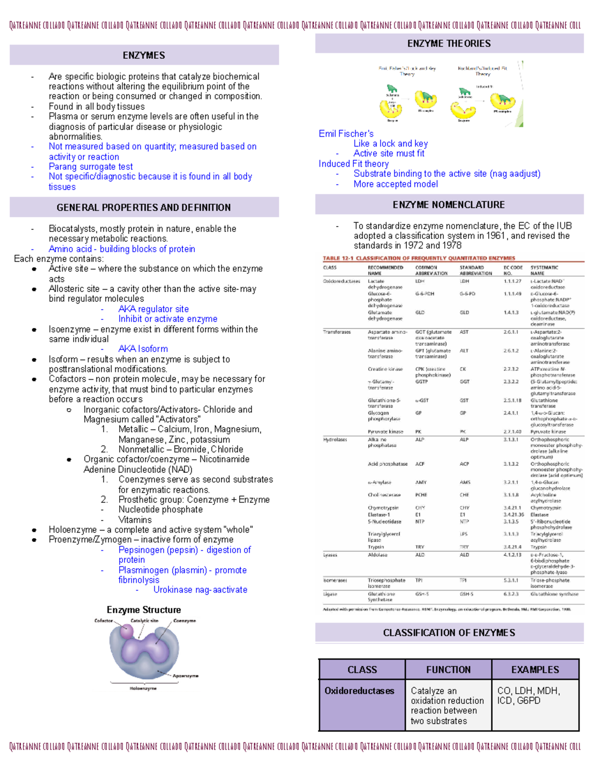 Cc2 Enzyme Review Notes: Key Concepts and Diagnostic Significance - Studocu