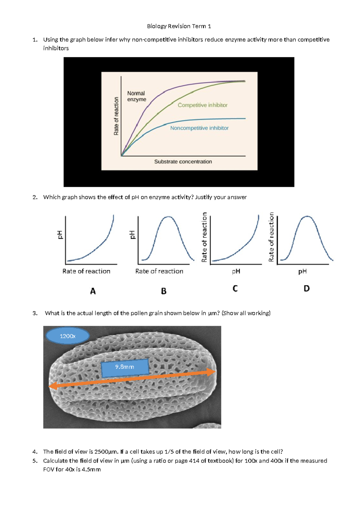 Biology Revision Notes: Term 1 Enzyme Activity & Experiments - Studocu