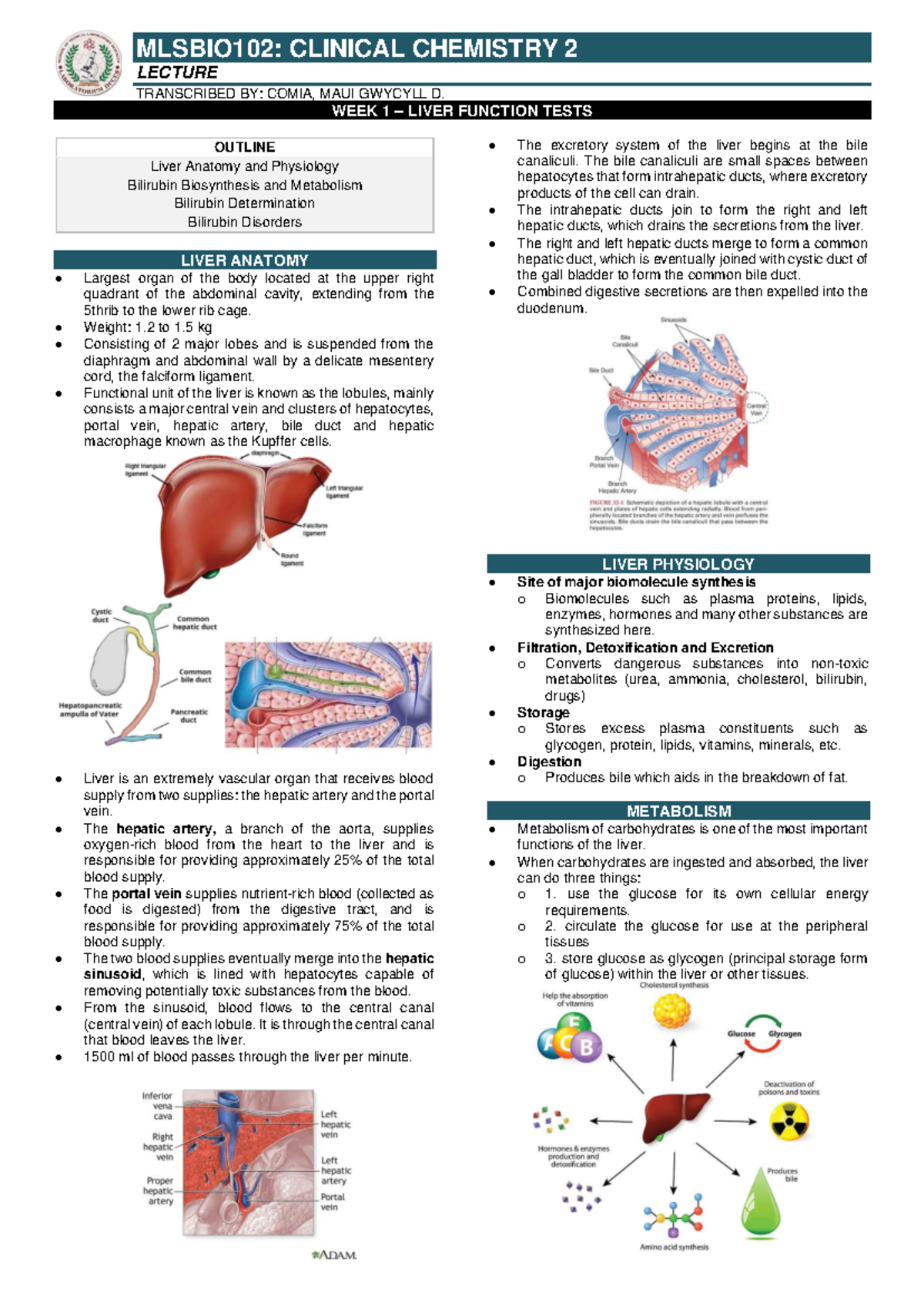 LEC Clinical Chemistry 2: Week 1 Liver Function Tests Overview - Studocu