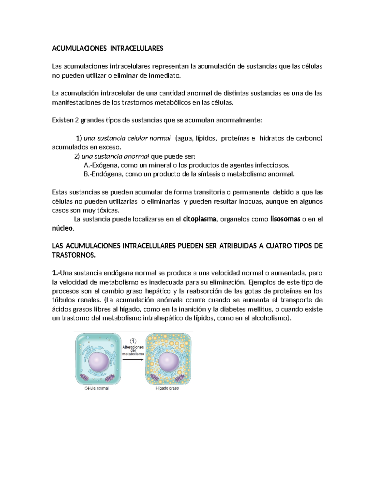 Acumulaciones Intracelulares: Conceptos Fundamentales y Trastornos - Document Preview