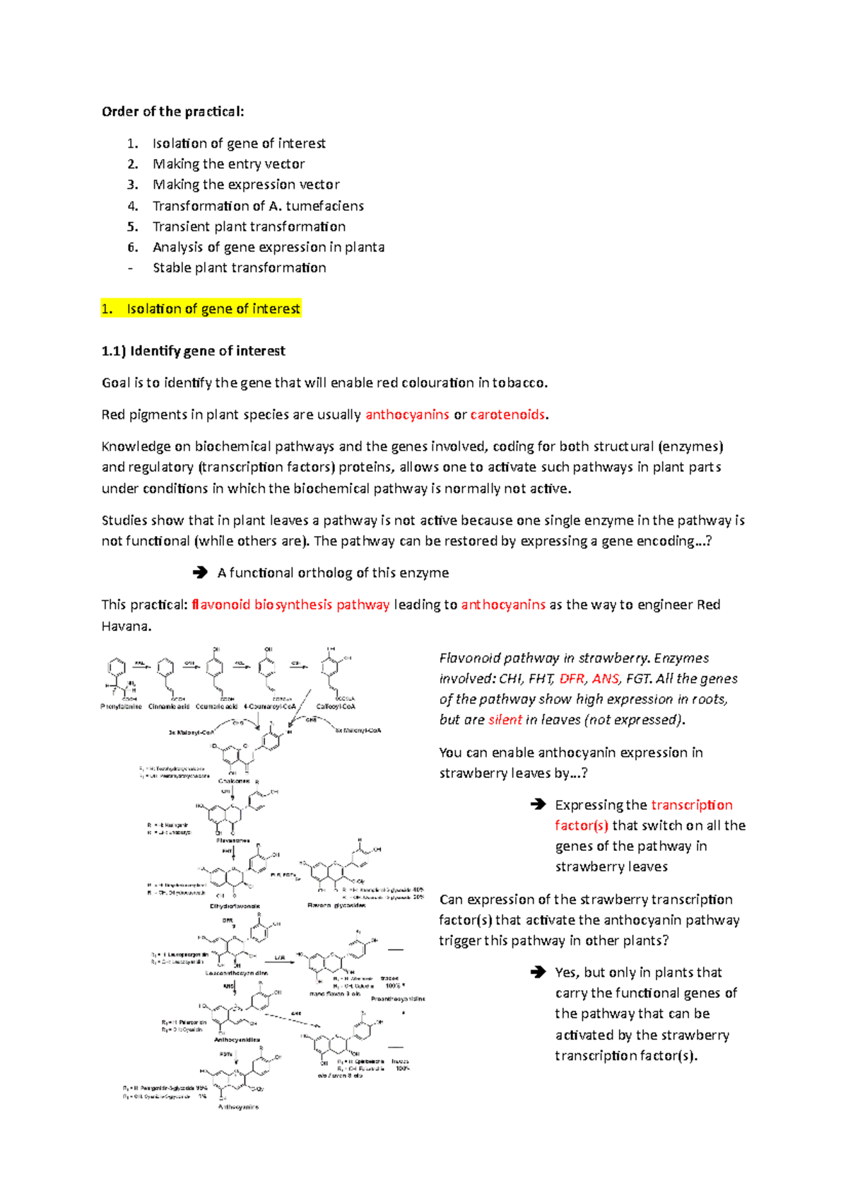 Biotechnology Practical: Genetic Engineering Techniques in Plants ...