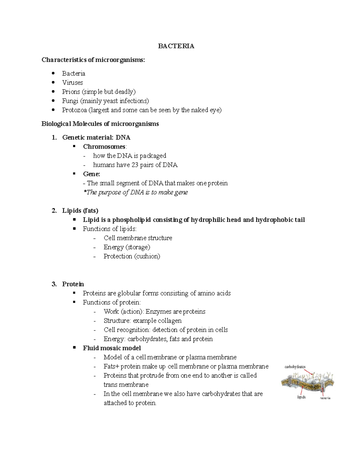 Week 2 Bacteria - Characteristics and Classification of Microorganisms ...