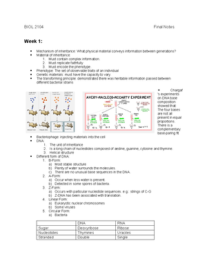 Stack and heap concepts rev3 - Stack and Heap COMP 2406 COMP 2406 ...