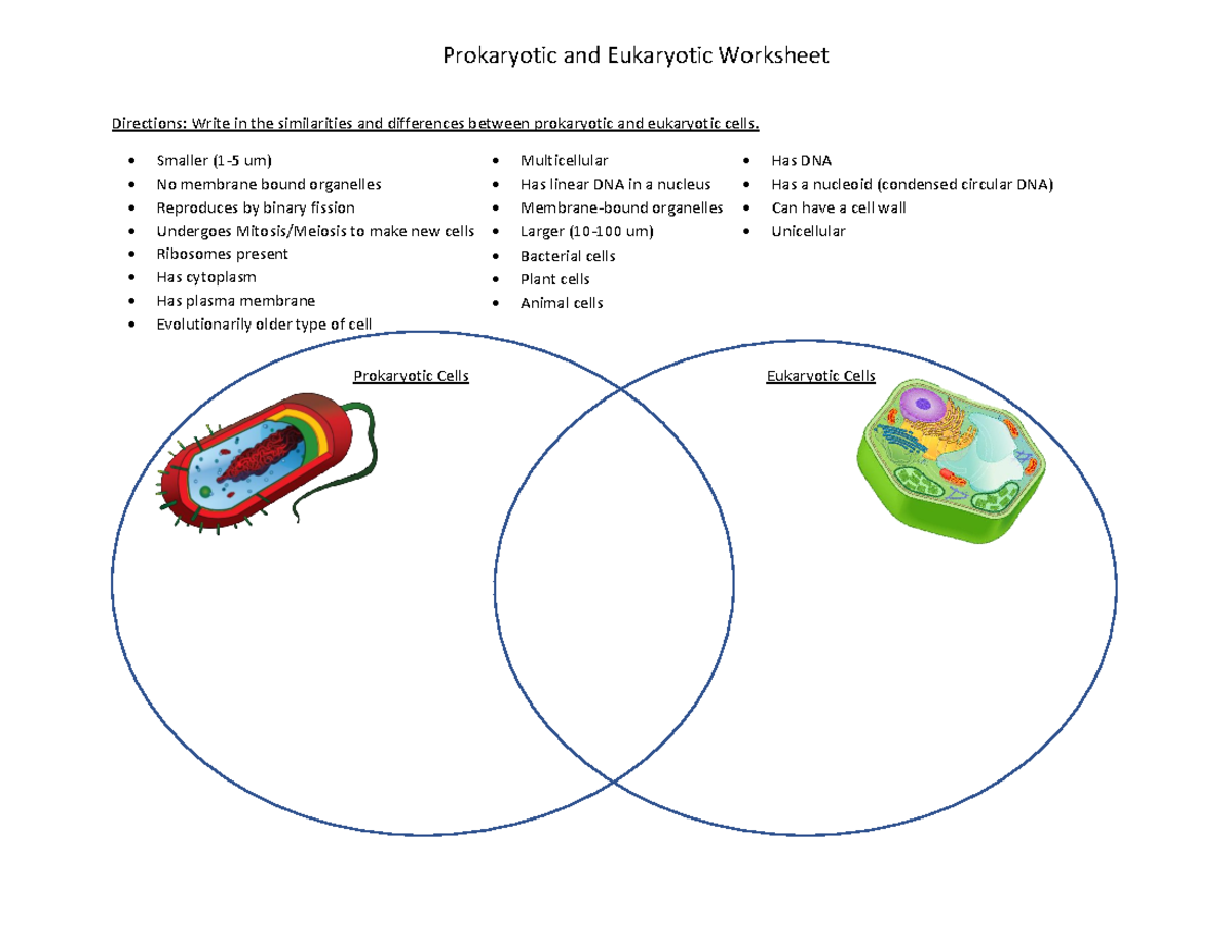 Prokaryotic And Eukaryotic Cells Worksheet Answers Solved Prokaryotic