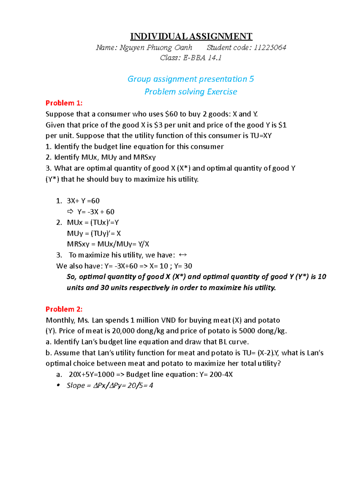 E-BBA 14: Individual Assignment 5 - Utility Maximization Problems - Studocu