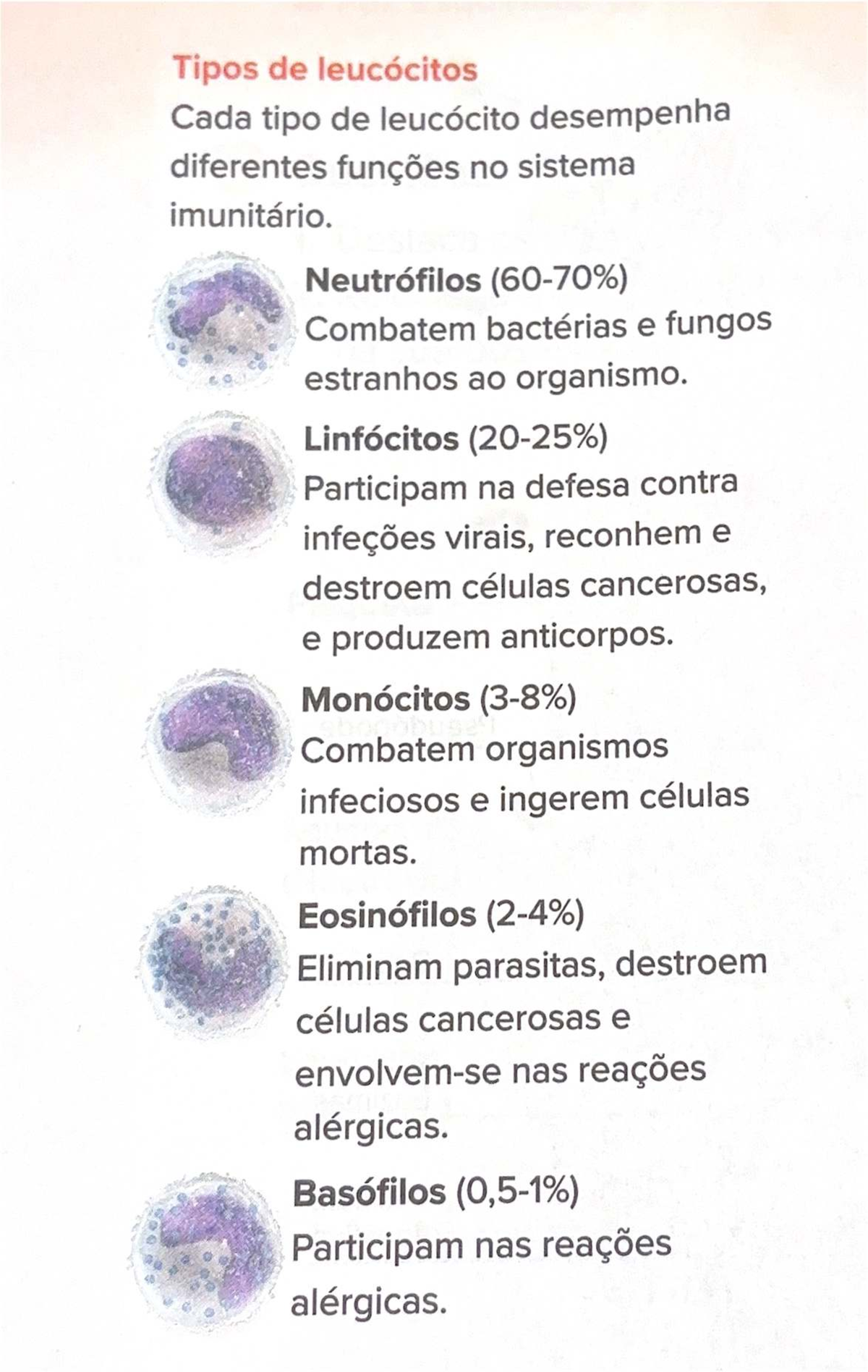 Tipos de Leucócitos e Suas Funções no Sistema Imunitário - Studocu