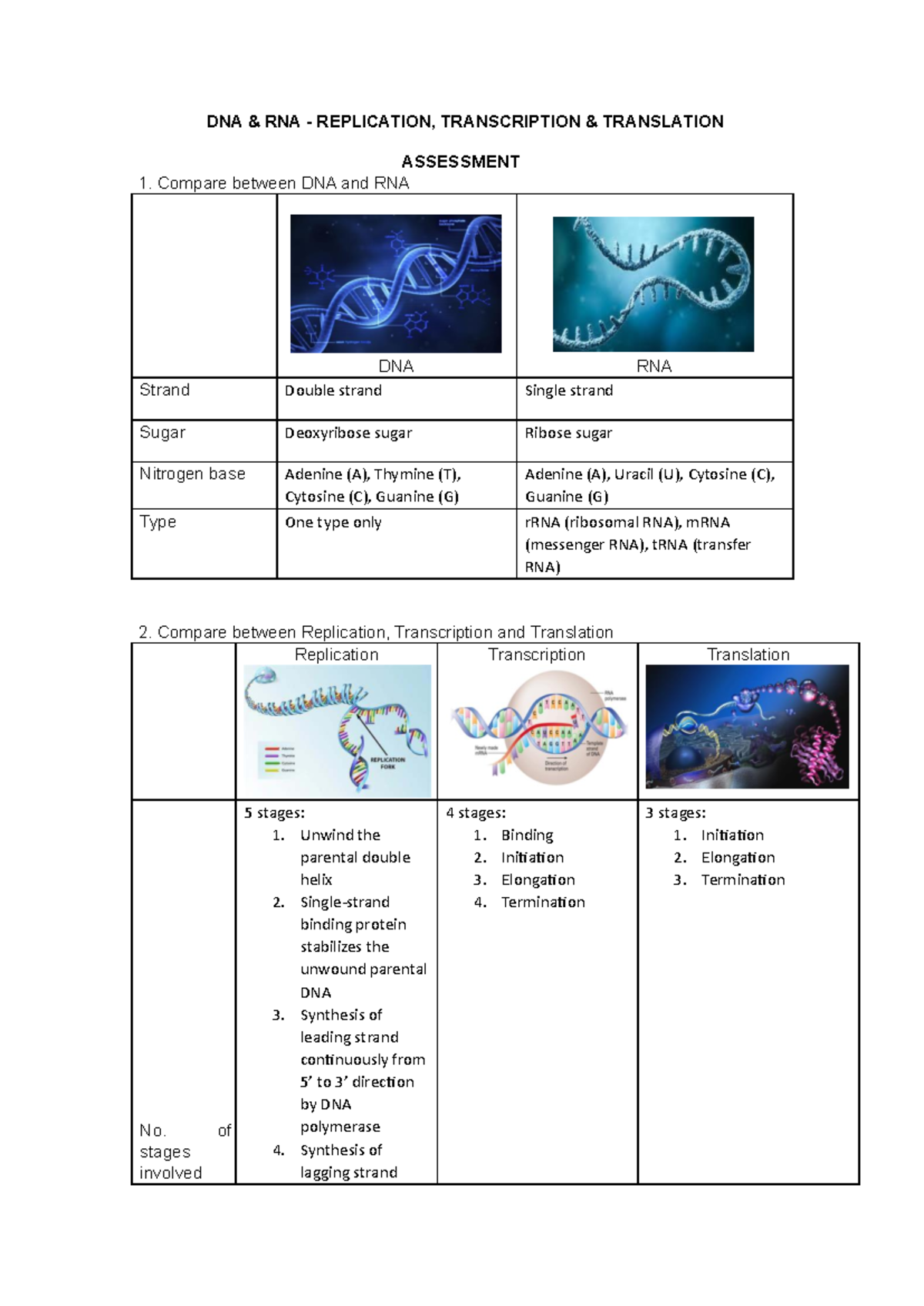 ANIS Safiya DNA & RNA Replication & Transcription Notes - Studocu