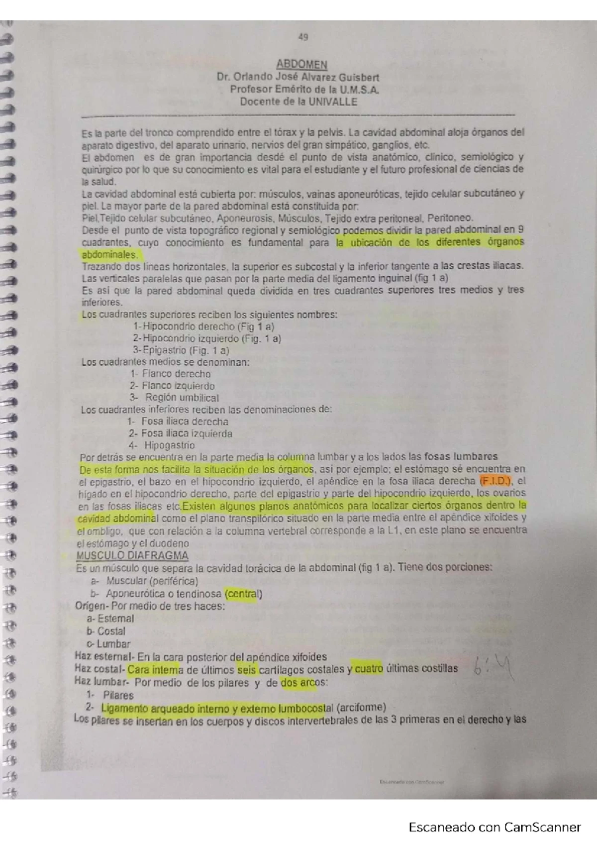 Sindrome del Supermacho 47 XYY: Definición, Causas y Tratamiento - Studocu