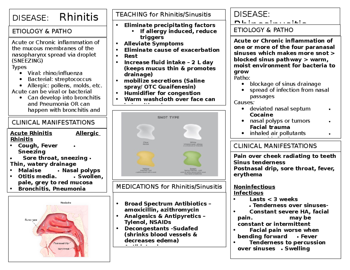 Rhinitis and Sinusitis: A Comprehensive Overview and Management Guide ...