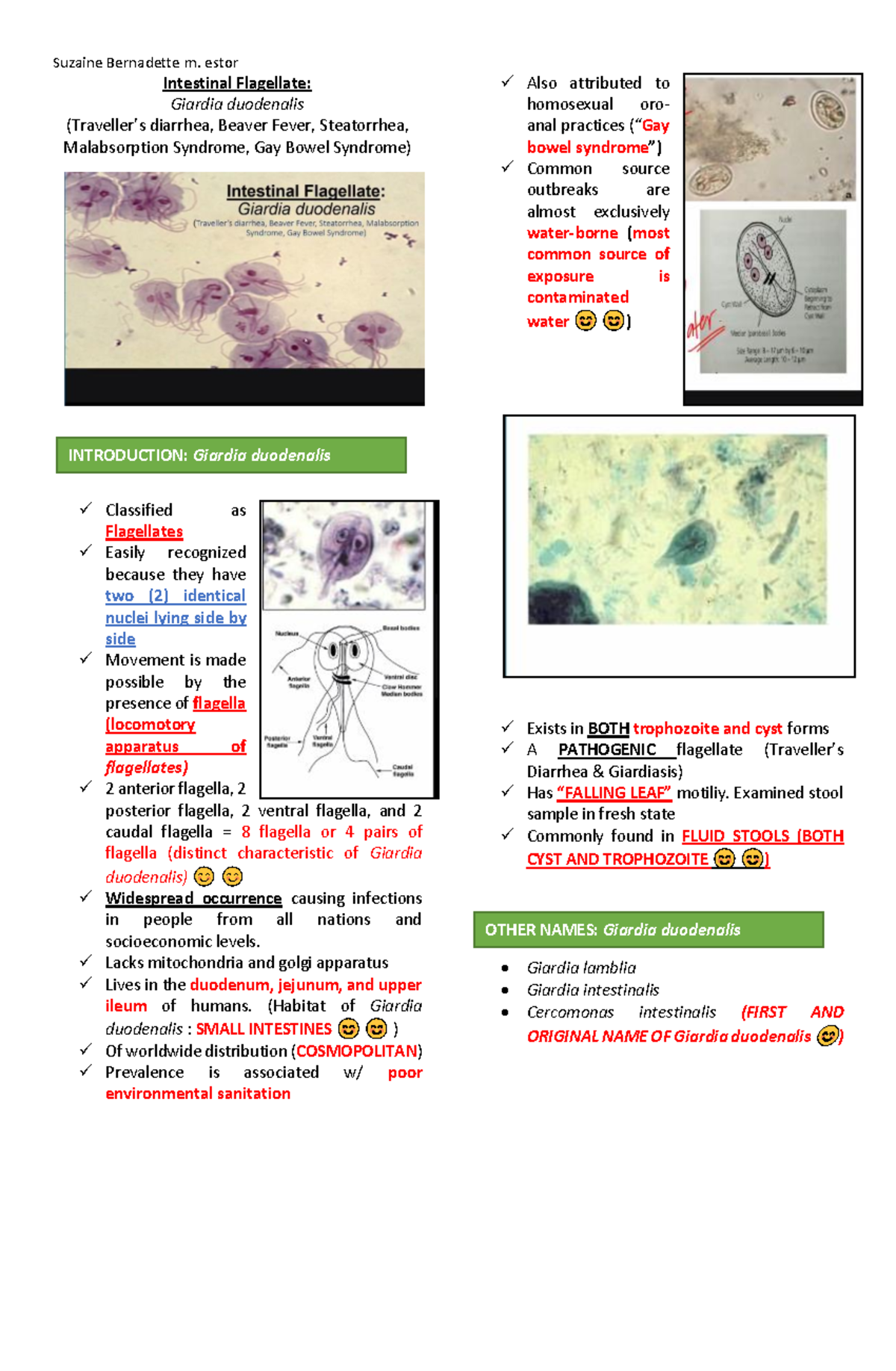 Intestinal Flagellate Giardia duodenalis - Intestinal Flagellate ...