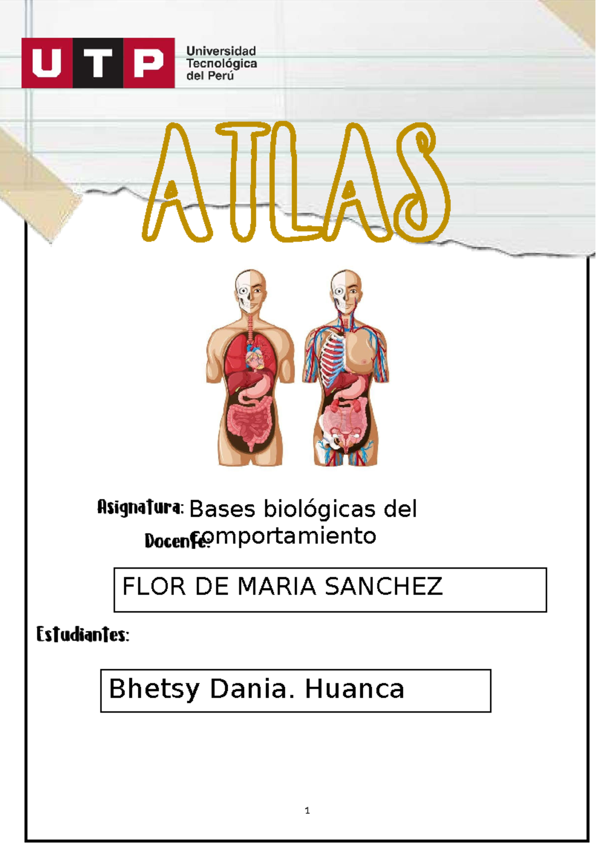 Bases Biológicas del Comportamiento - Tarea Académica 3 FLOR DE MARIA ...
