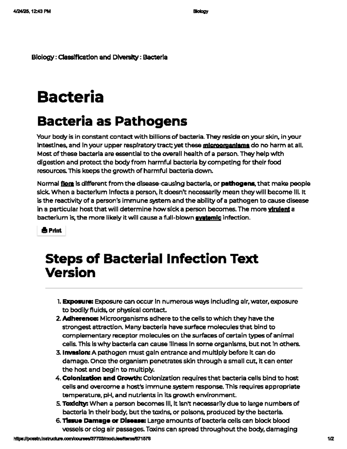 Bacteria Overview - 06.02 Biology Module Notes - 12:43 PM Biology ...