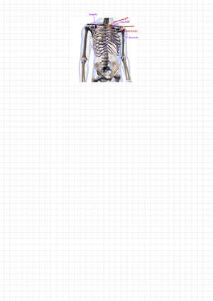 Gege2001 notes - Dictionary: hemizygous having one allele for a ...