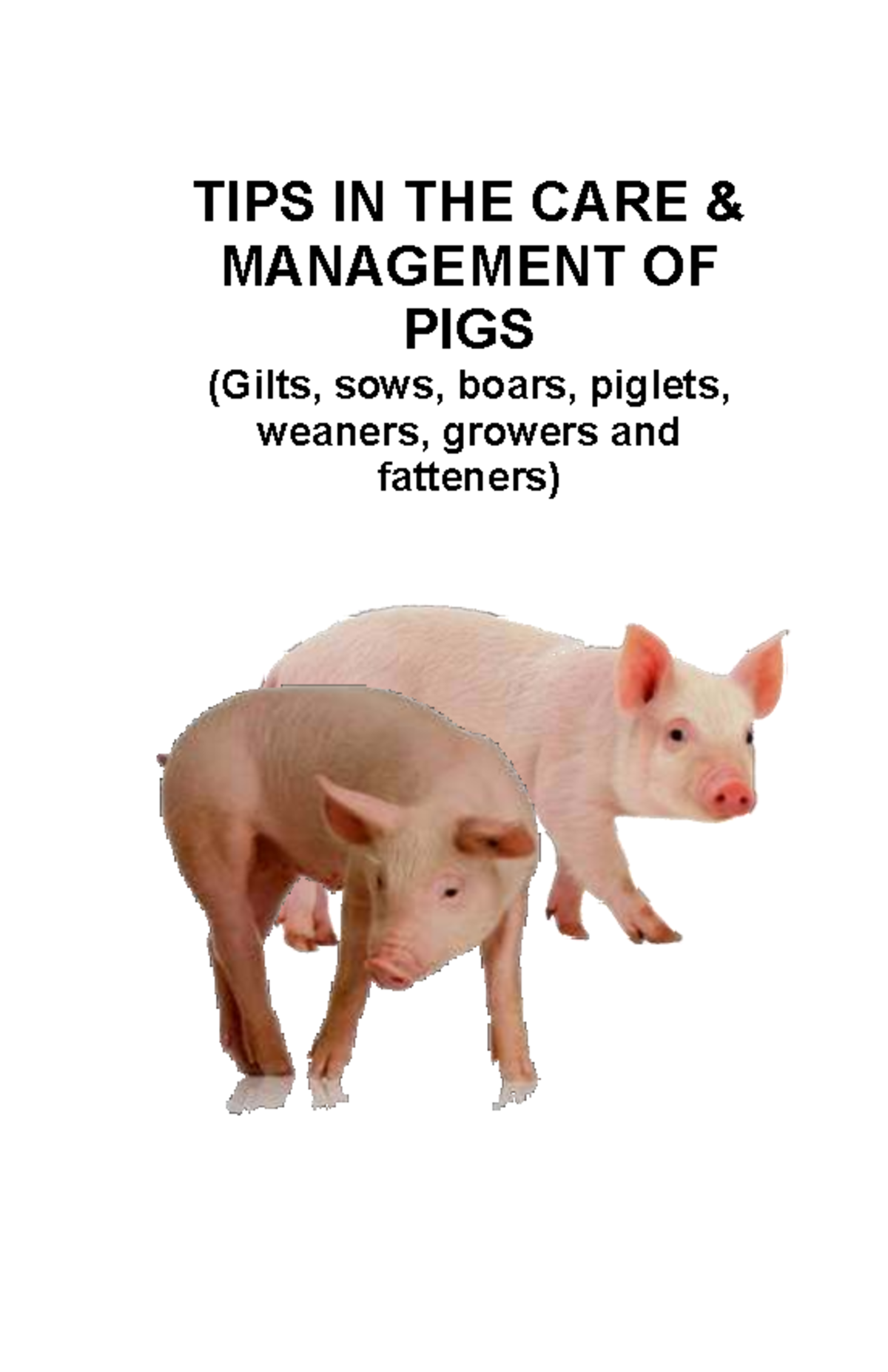 Tips in the Care and Mgt of PIGS - TIPS IN THE CARE & MANAGEMENT OF ...