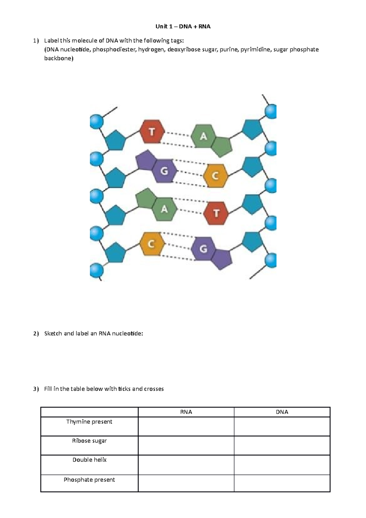 Unit 1 - DNA & RNA Study Guide for Biology 101 - Studocu