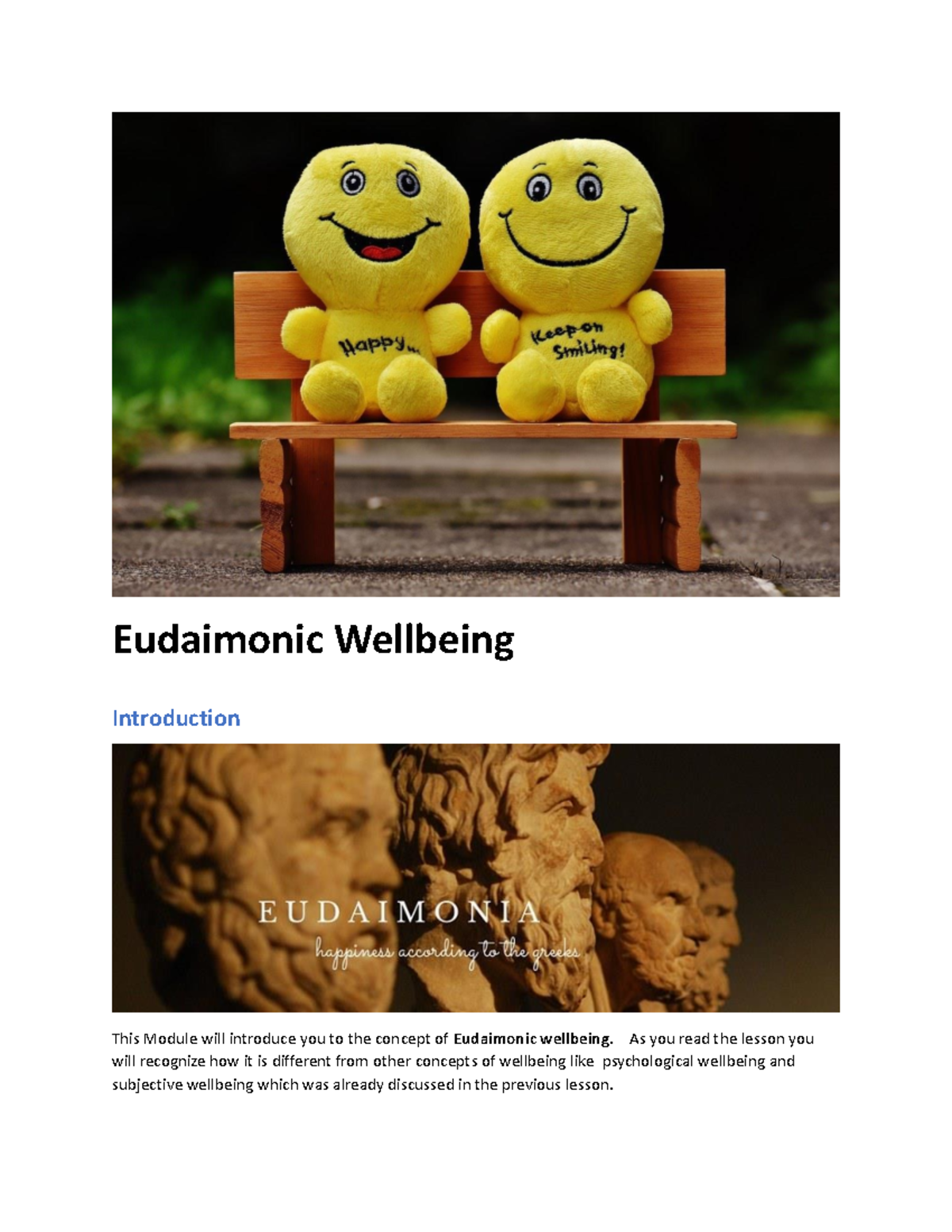 Eudaimonic Wellbeing: Understanding Flow, Meaning, and Purpose - Studocu