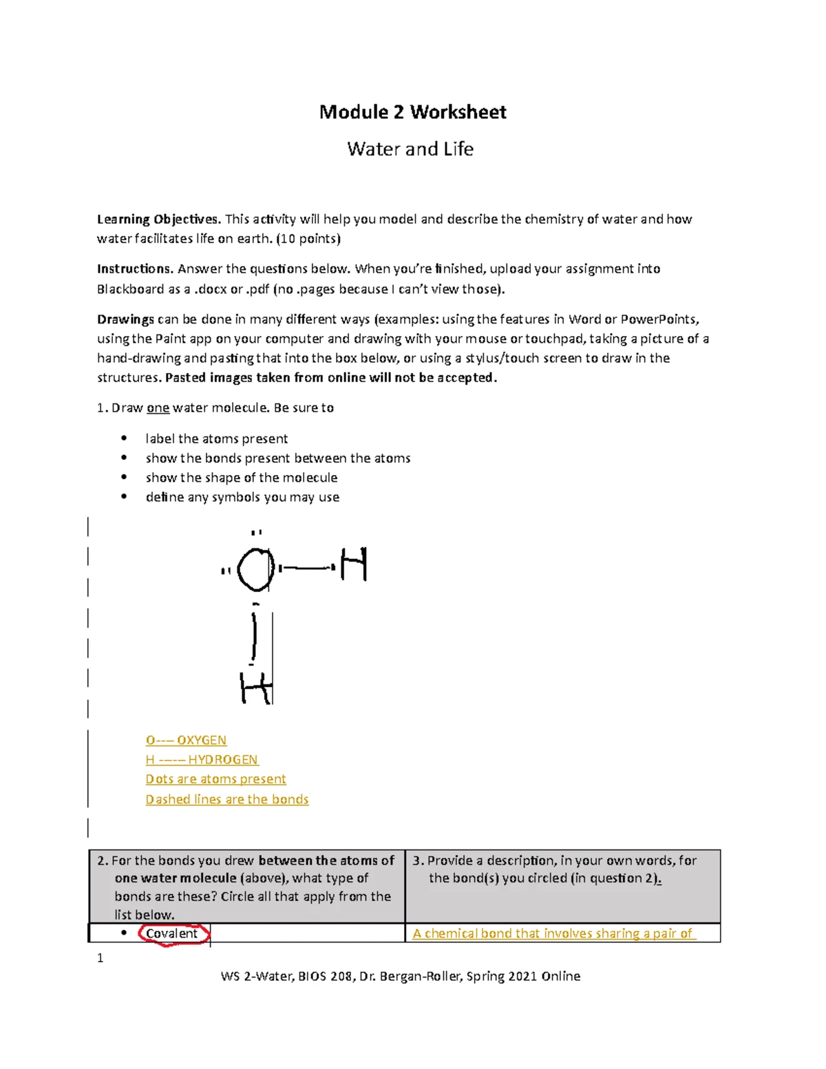 Biomolecules Worksheet Part 1 Identifying Functional Groups Solved: