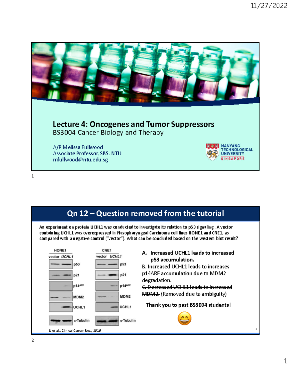 Oncogenes and Tumor Suppressors - Lecture 4 | BS3004 Cancer Biology ...