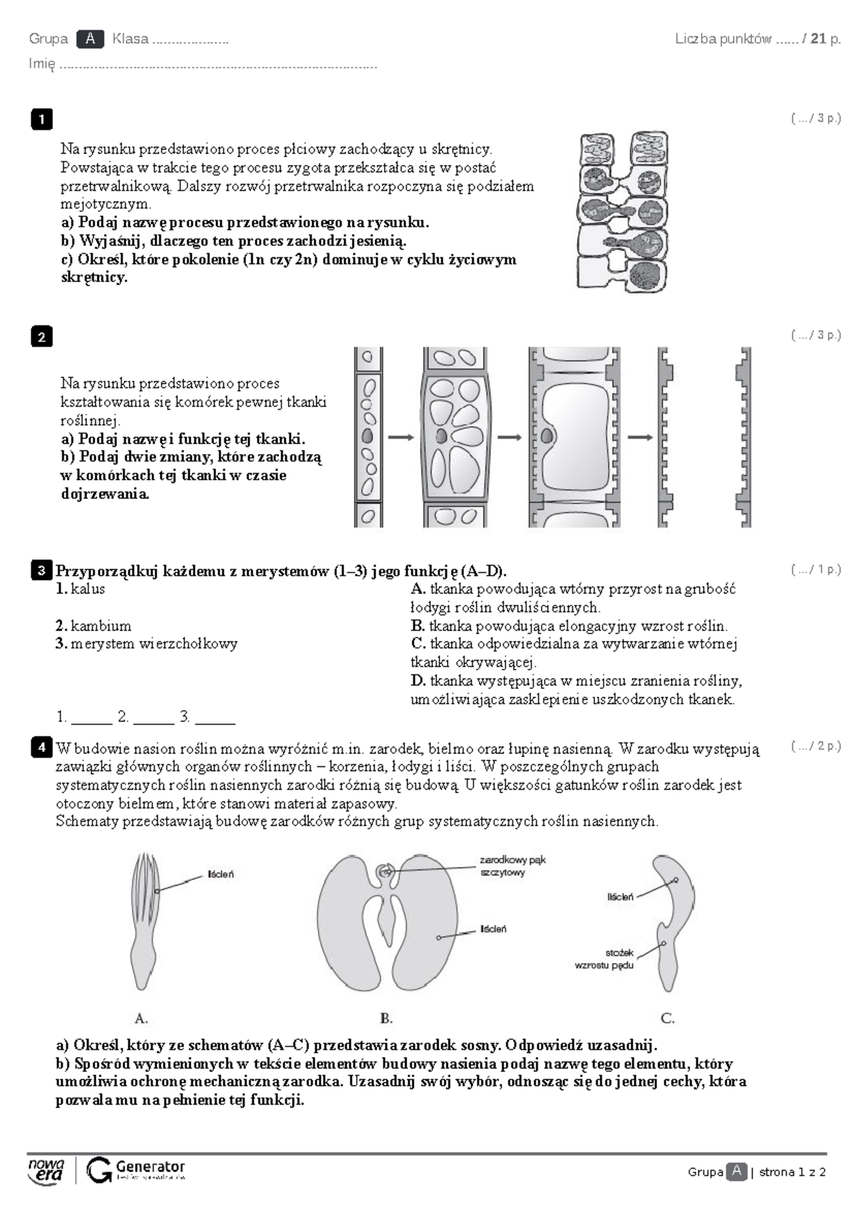 Sprawdzian Biologia świat Roślin 1 Gimnazjum J www.studocu.com