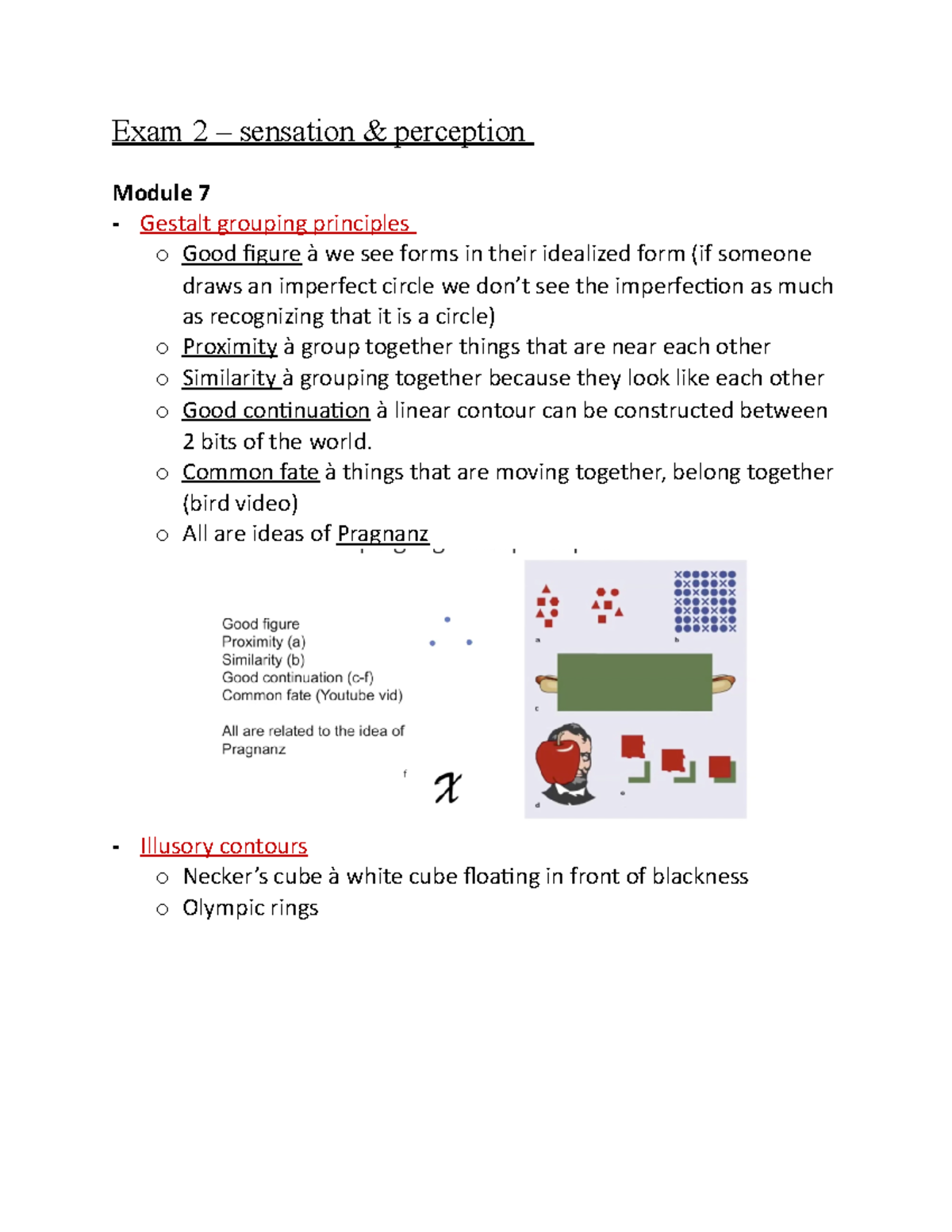 Exam 2 Study Guide: Sensation & Perception Concepts and Theories - Studocu