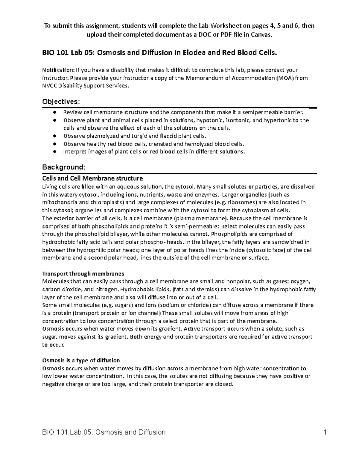 BIO 101 Lab 05, Osmosis and Diffusion - upload their completed document ...