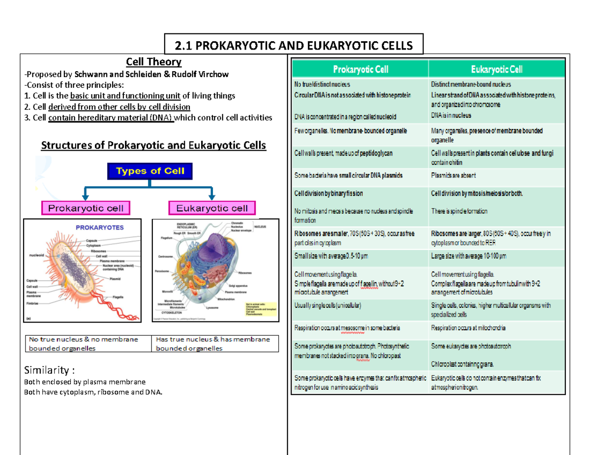 Biology Chapter 2 - Cell Structure and Function Overview - Studocu