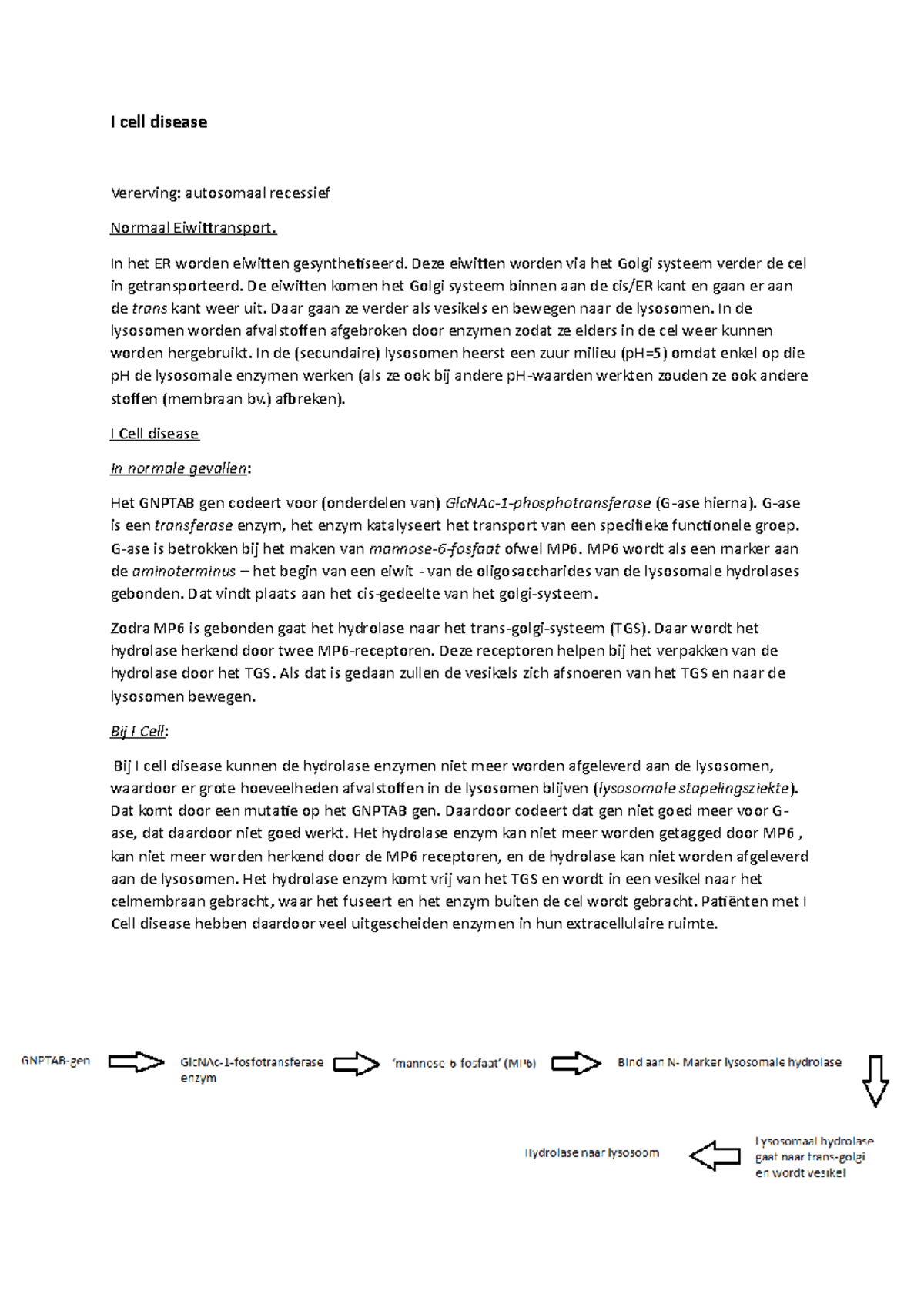 I-Cell Disease: Autosomaal Recessief en Biochemische Testen - Studeersnel