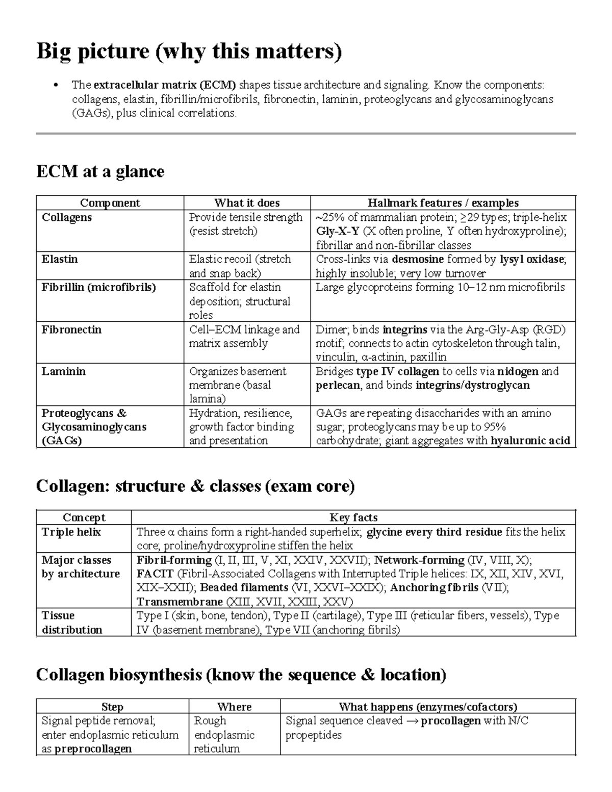Extracellular Matrix (ECM) Overview: Key Components & Functions - Studocu