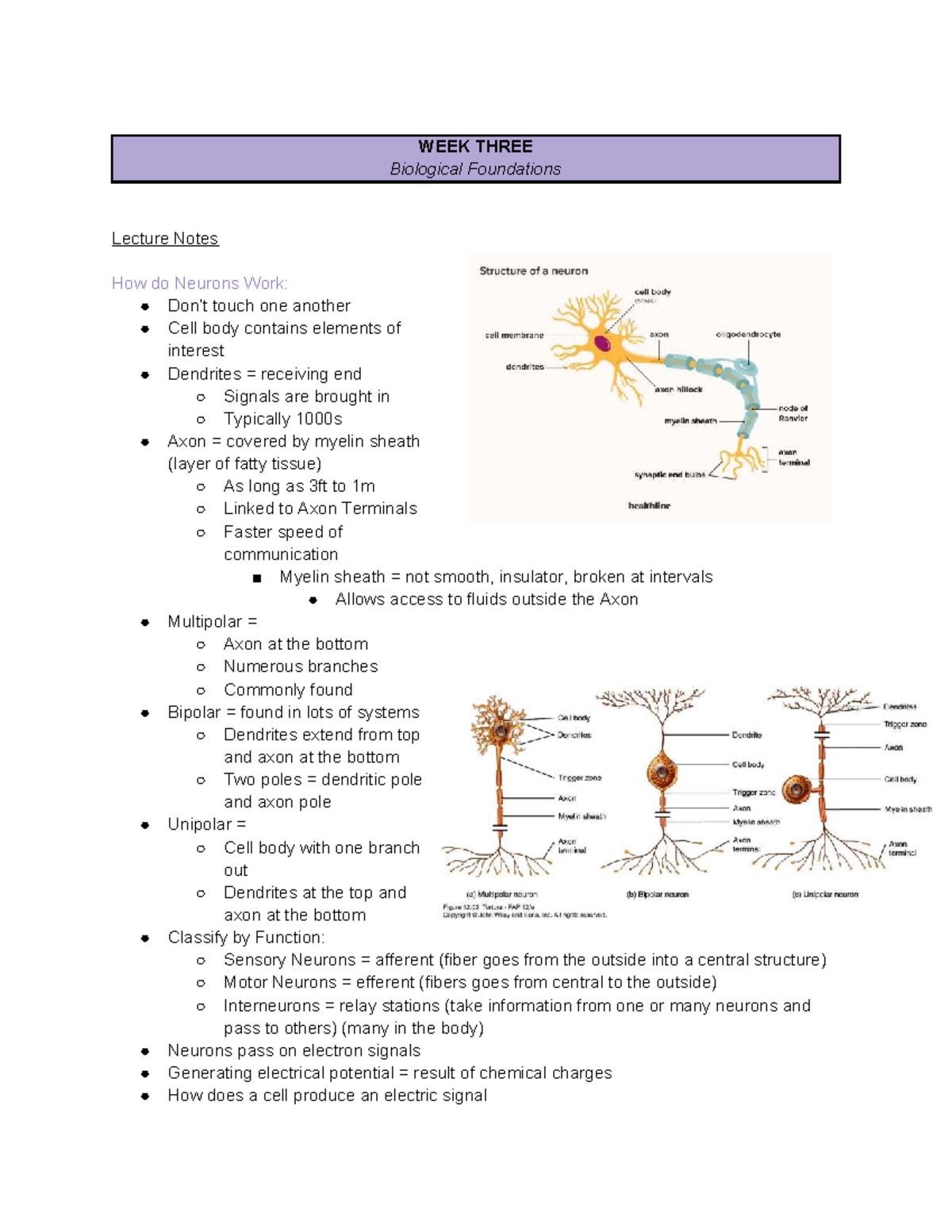 WEEK 3 BIO 101 Lecture Notes: Understanding Neuron Function - Studocu