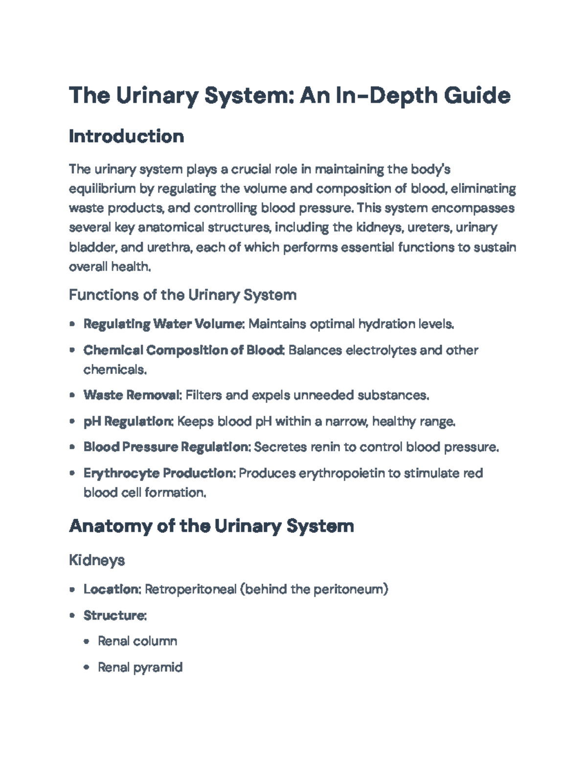 In-Depth Guide to the Urinary System: Anatomy and Functions - The ...
