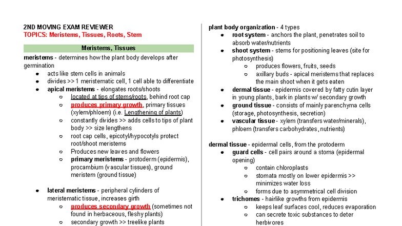 2ND MOVING EXAM REVIEWER: Meristems, Tissues, Roots & Stems - Studocu