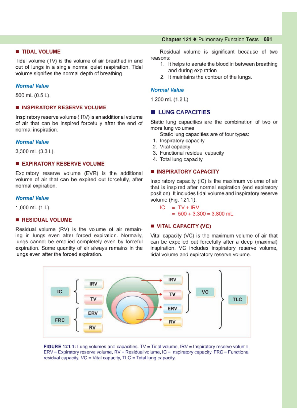 Pulmonary Function Tests: Understanding Lung Volumes and Capacities ...