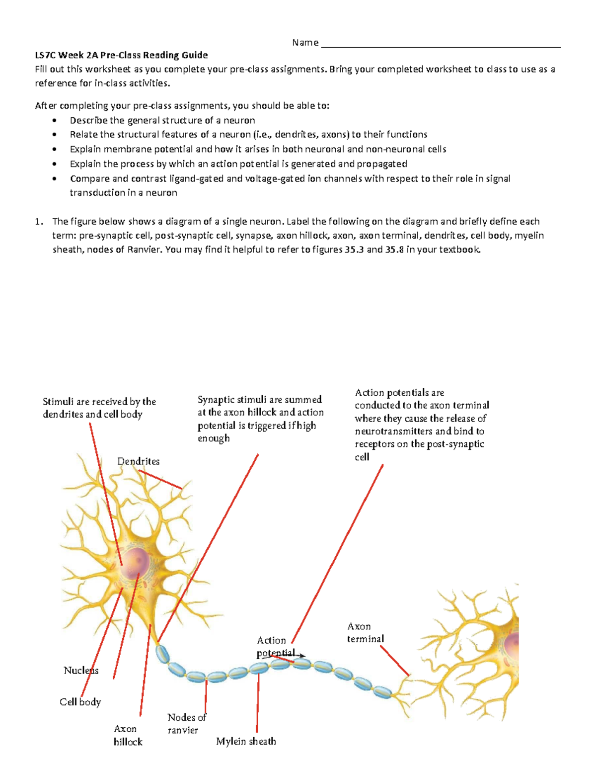 LS7C Week 2A Pre-Class Reading Guide on Neuron Structure & Function ...
