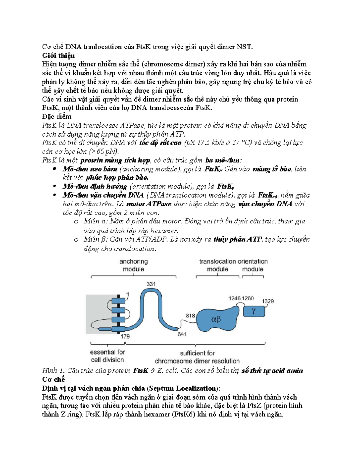 Cơ chế DNA Translocation của FtsK trong Giải Quyết Dimer NST - Studocu