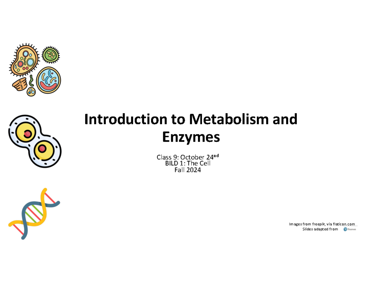 BILD1 Class 9 Metabolismand Enzymesw LC - Introduction to Metabolism ...