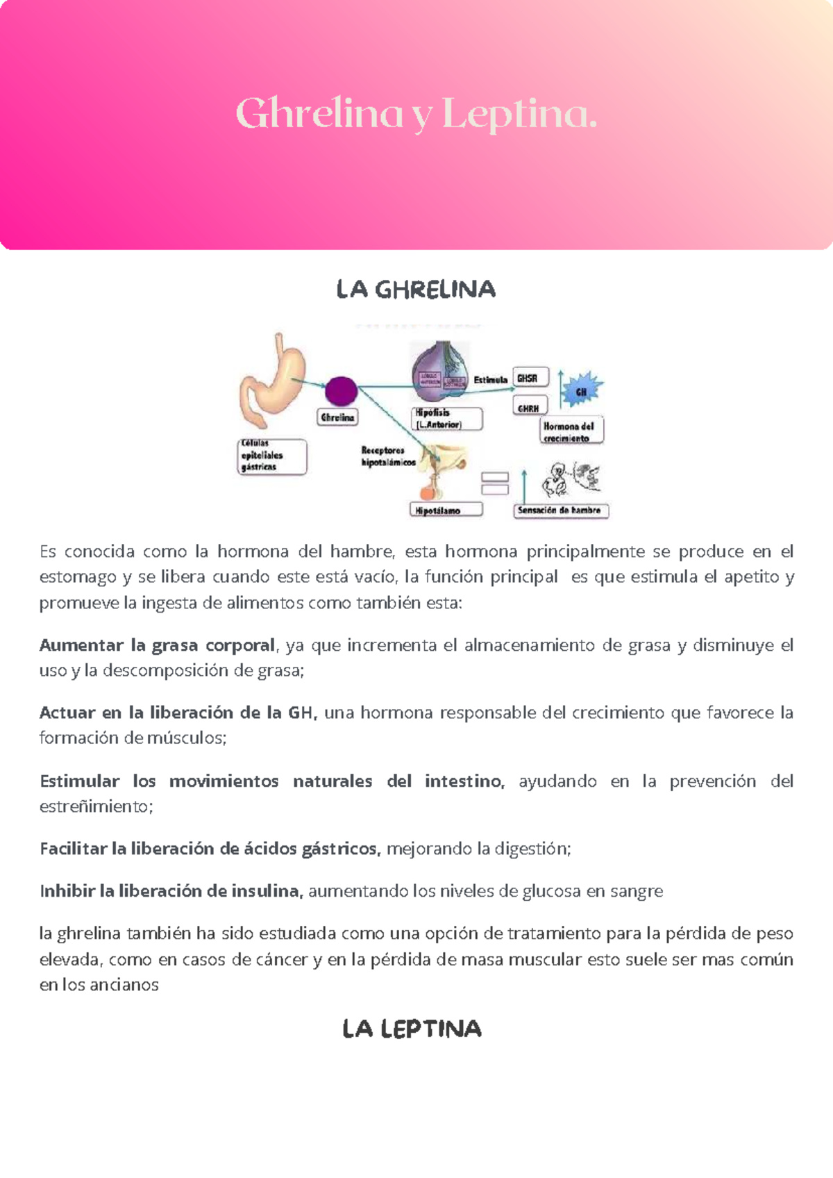 Ghrelina y Leptina: Hormonas del Apetito y Saciedad - EJEMPLO DE UNA ...