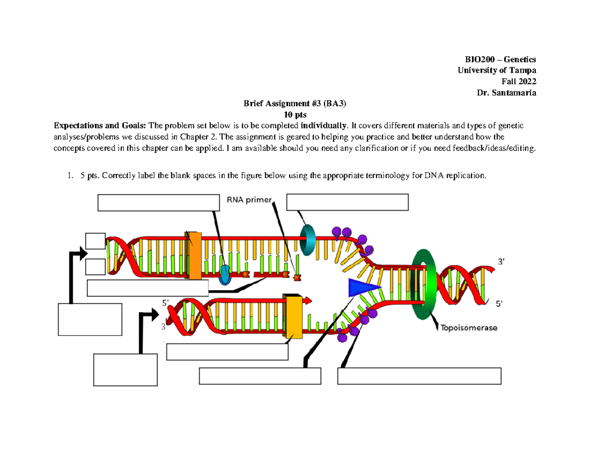 BIO200-BA3-Fall2022 - Genetics Assignment & Practice Work - Studocu