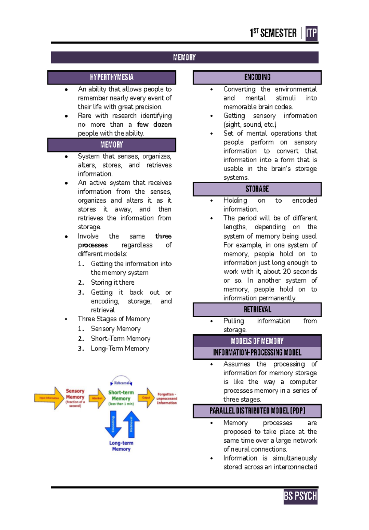 Introduction to Psychology ITP (Final Exam Notes on Memory & Cognition ...